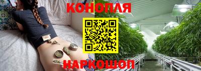 прущие грибы Рузаевка