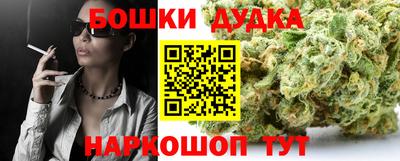 МДПВ Рыбинск